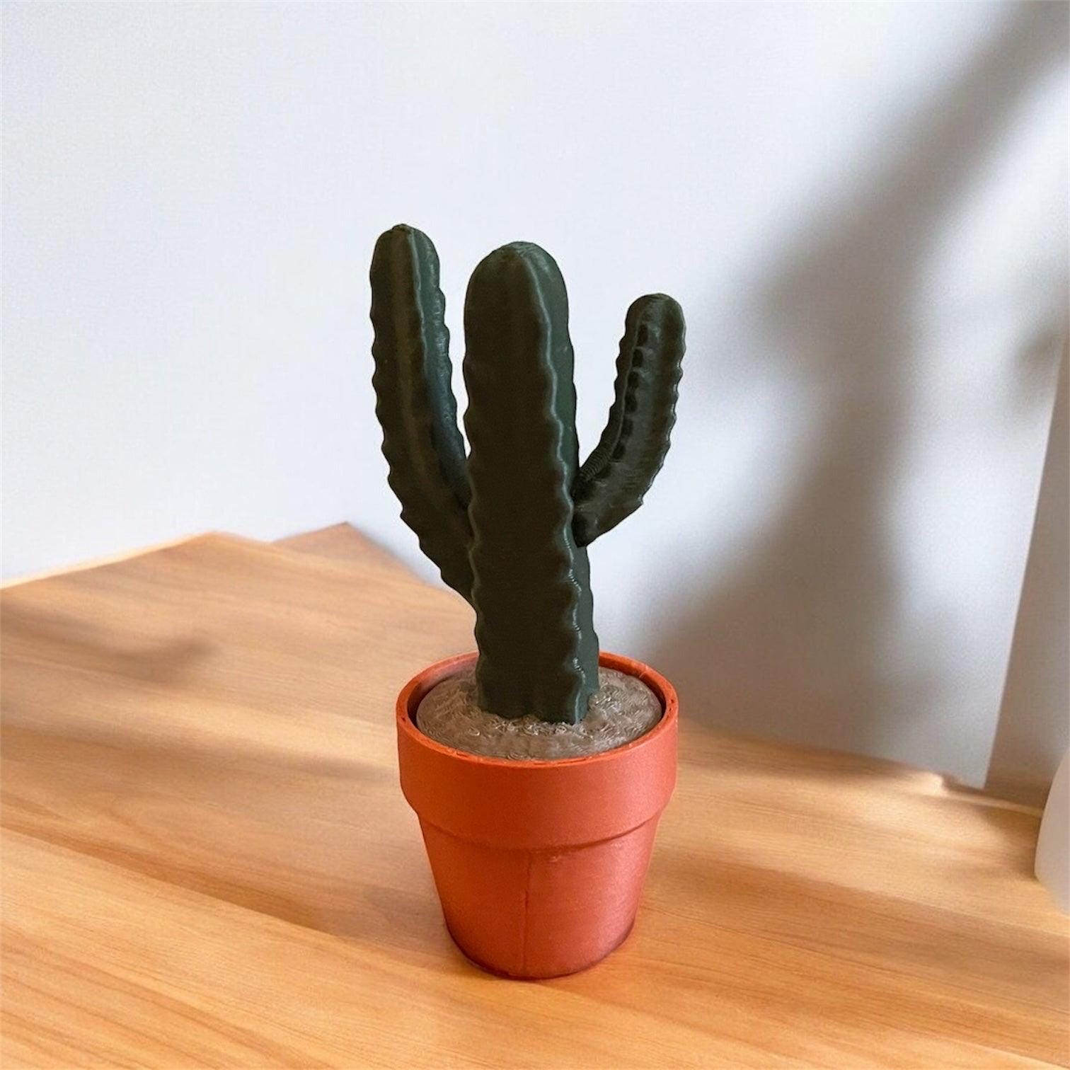 Cactus Clickers Fidget Toy Collection: 3D Printed Desk Decor - Etsy