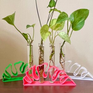 Monstera Leaf Propagation Station – 3D Printed with Glass Tubes