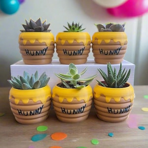 Six-Pack Hunny Pots & Succulents – Winnie the Pooh Party Favors/Baby Showers/Birthday Parties/Gifts