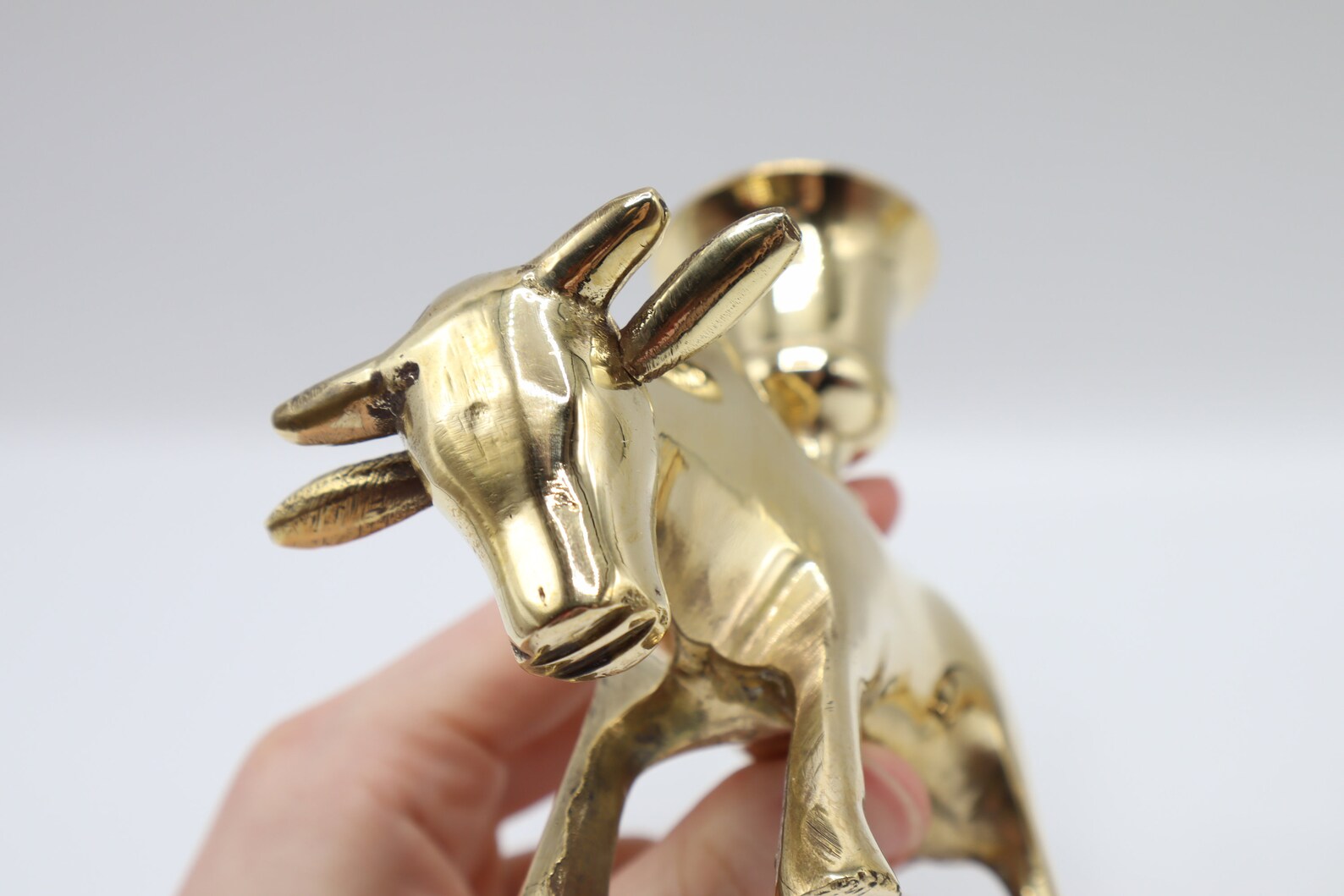 Vintage Brass Bull Candle Holders Set of 2 Brass Bulls Etsy