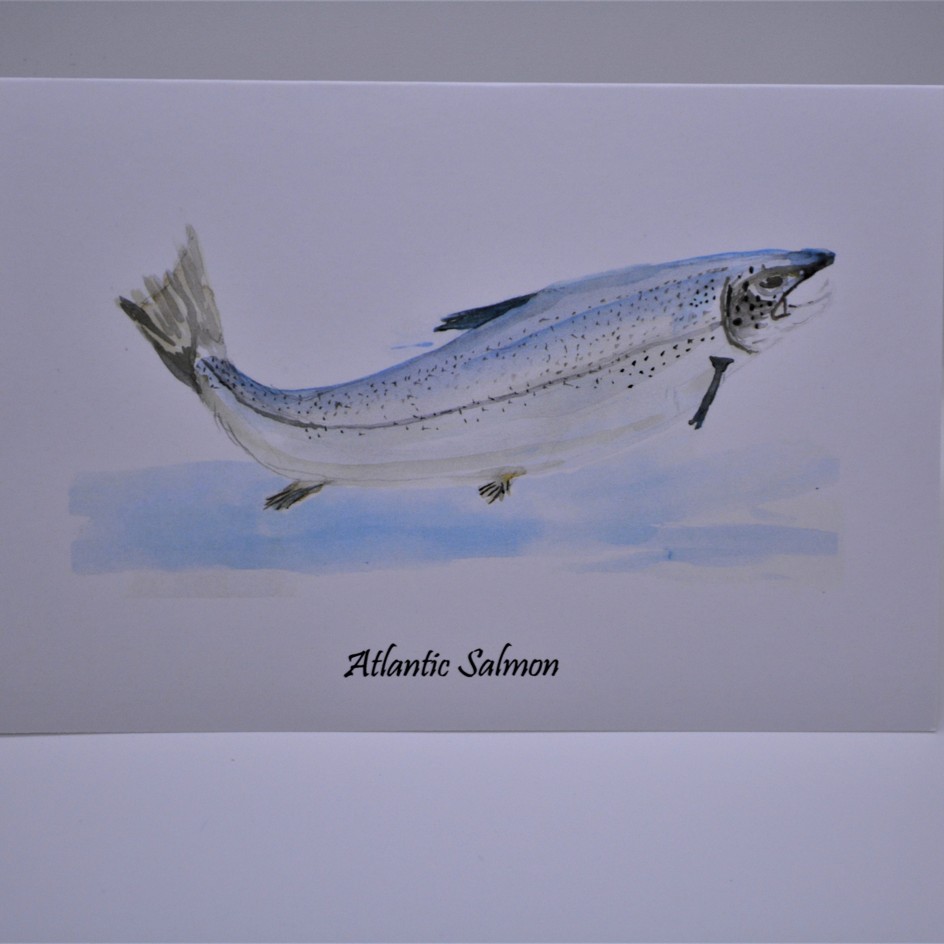 Atlantic Salmon Card Etsy