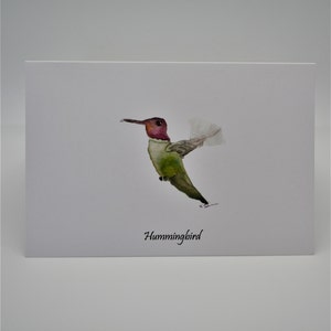 Hummingbird