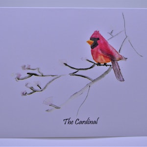 Carta cardinal