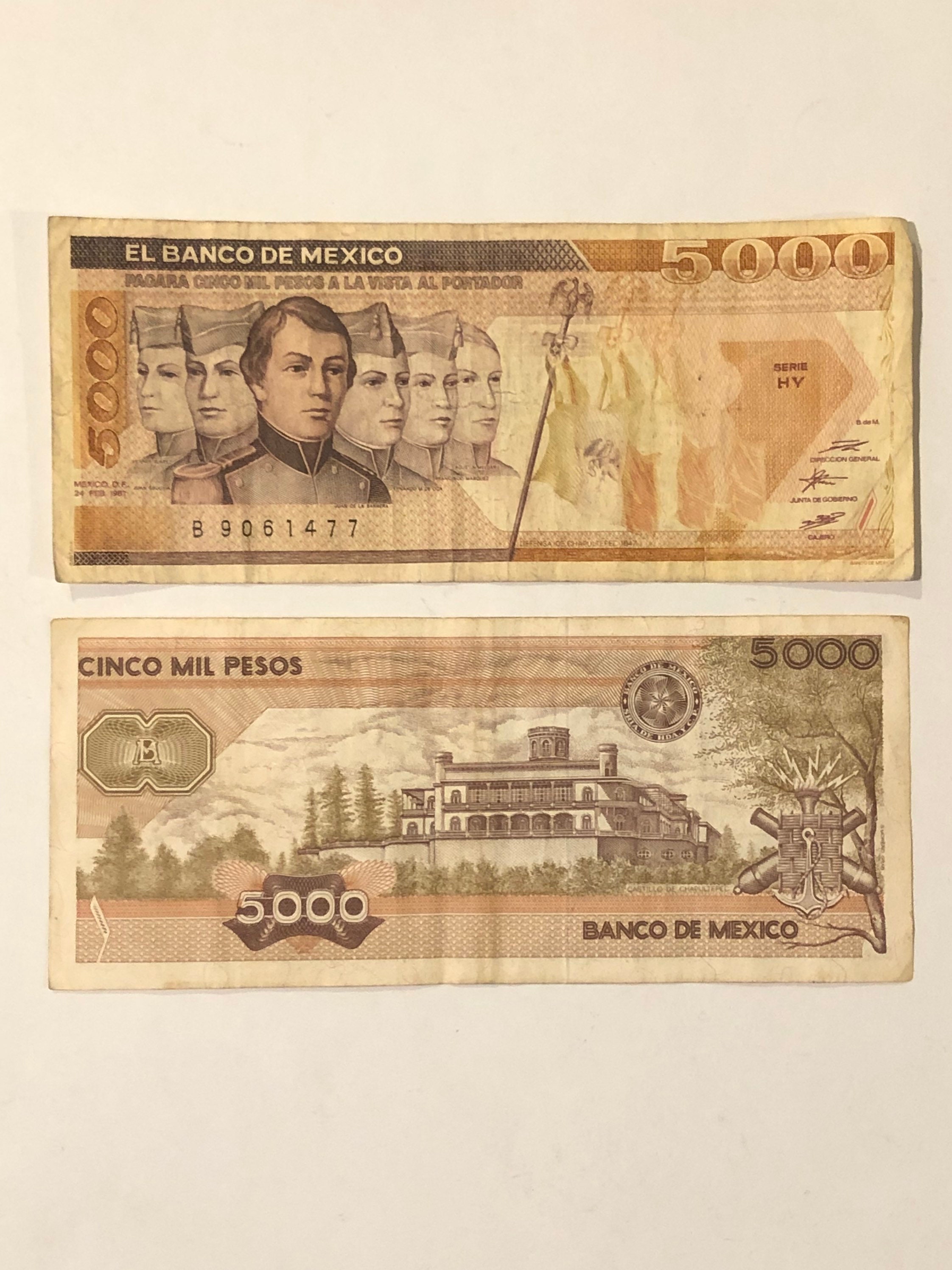 5000 pesos - Etsy 日本