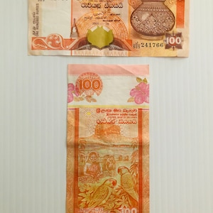 May include: A Sri Lankan 100 Rupee banknote featuring a portrait of a woman in traditional clothing, two parrots, and a scene of a village with a river. The text "ශ්‍රී ලංකා මහ බැංකුව" is printed on the bill, which translates to "Central Bank of Sri Lanka".