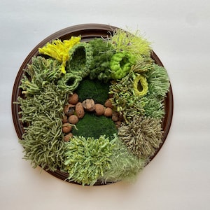 Fibre Art Moss Looking Round Wall Hanging, Yarn Wall Art, Green, Home and Garden Design, Home Decor, Housewarming, Moss, Indoor Plants, LECA