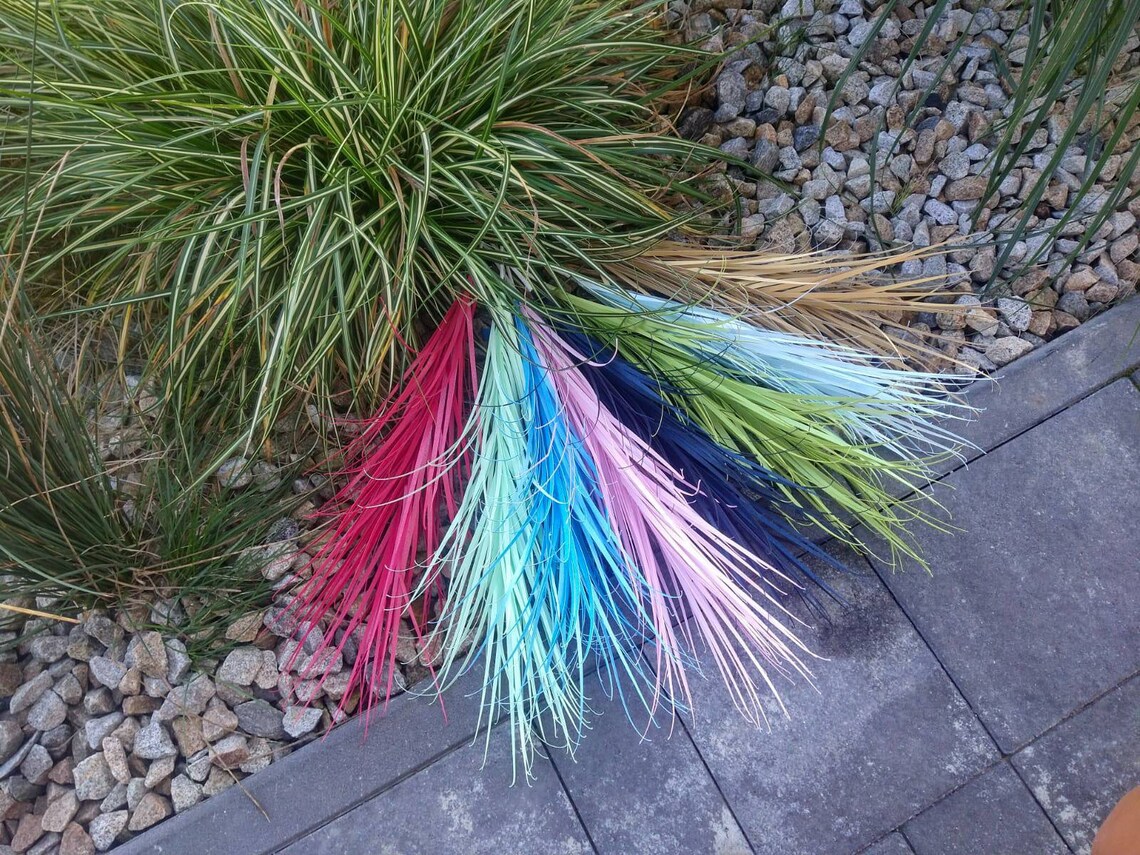 SVG Paper Pampas Grass Template Svg leaves template Boho Decor Etsy