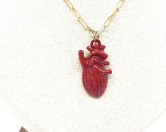 May include: A gold chain necklace with a red anatomical heart pendant. The heart is detailed with chambers and vessels.