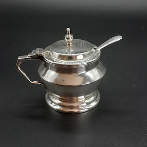 Peut inclure: Un sucrier argenté avec un couvercle et une petite cuillère. Le bol a une poignée et une base décorative. Le couvercle a un petit bouton sur le dessus. La cuillère repose sur le bord du bol.