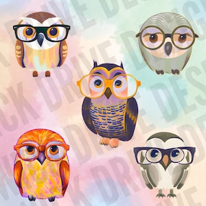 Watercolor Owl Clipart - Wise Owls With Glasses - Digital Download - 20 ...