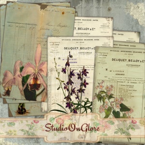 8 vintage botanische ontvangstbewijzen. ACEO-kaarten op afdrukbaar collageblad voor ongewenste tijdschriften, plakboeken, decoupage, hangtags, etiketten, TN 18031