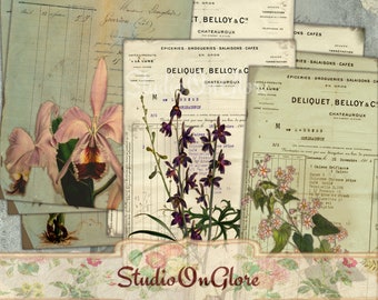 8 Ricette Botaniche Vintage. Biglietti ACEO su foglio collage stampabile per Junk Journal, Album di Ritagli, Decoupage, Cartellini, Etichette, TN 18031