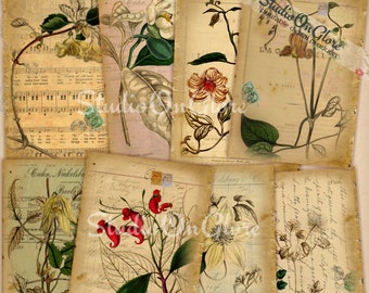 Schede botaniche vintage e schede per cataloghi. Foglio di collage stampabile con illustrazioni di piante, materiale effimero per diari, album, cartellini, etichette.