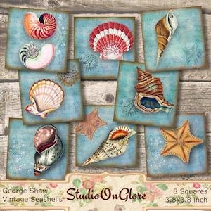 Seashell 3.8x3.8" Squares. Hoja de collage digital COSTERA náutica. Descarga imprimible para posavasos, tarjetas de felicitación, papelería, diarios