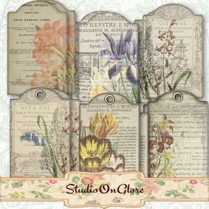 Etichette floreali vintage morbide. Immagini digitali stampabili su fogli di collage, effimeri per decoupage, etichette regalo, scrapbooking, diari di recupero 19042