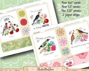 SALDI!! Kit per diario con versetti biblici. Carte stampabili, cerchi, strisce per diario, album, creazione di biglietti, carta per lavori religiosi + fodera posteriore.