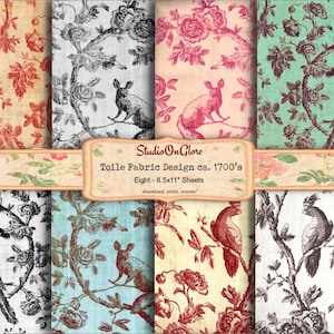 Projetos TOILE franceses vintage. Florais de pássaros digitais de 8,5 x 11 "- fundos de reprodução antigos. Papel de álbum de recortes, papel de parede, página de diário de lixo