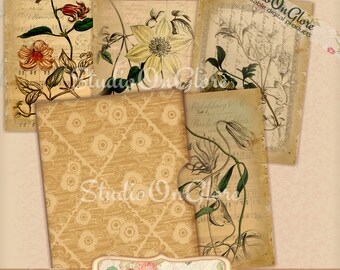 4 Vintage Botanical 2.5x3.5" shabby cards and envelope on Printable Collage Sheet for Junk Journals, Scrapbooks, Hang Tags, ACEO  #18028 -a2