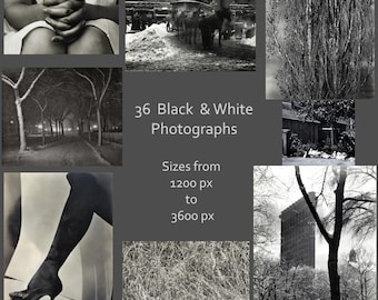 Impressões fotográficas em preto e branco de Alfred Stieglitz: coleção de fotos vintage (download digital)