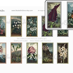 Vintage Flowers - Faux Tea Card Set. 2 Printable Sheets Full-color and Muted. Ephemera for Junk Journals, Tags, TN, Labels