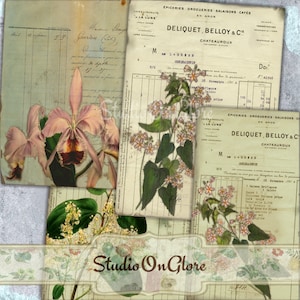 Vintage Botanical: Vier 3,5x5-Zoll-Bilder zum Ausdrucken für Junk Journals, Scrapbooking, Decoupage, DIY Grußkarten, Etiketten 18031