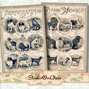 Könnte beinhalten: Eine Vintage-Illustration aus dem Strand Magazine, die eine Sammlung von Hunden aus der Aristokratie zeigt. Die Hunde sind in Schwarzweiß dargestellt, mit ihren Namen und Rassen unter jedem Bild. Der Titel der Illustration lautet "Aristokratie der Hunde-Welt."