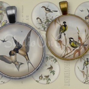 Vintage Bird Circle printables / 8 ontwerpen in 6 maten: 1", 1,5", 2", 18 mm, 2,5", 3,8" cabine, label, cupcake topper, magneet, rommeljournaal