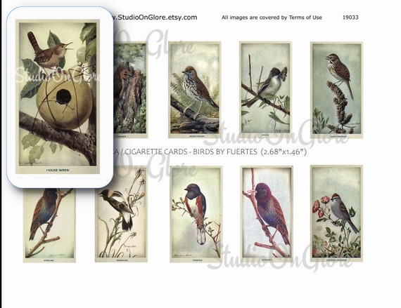 9 Vintage Birds TAGS printable digital download
