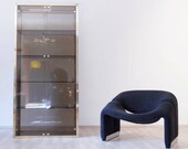 Stunning 1970s Modernist Brass and Smoked Glass Display Cabinet Vitrine from Belgo Chrome, Belgium 1970s
