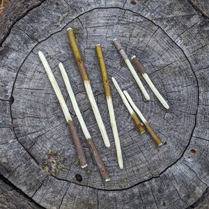 May include: A close-up of seven wooden sticks with white tips, arranged in a starburst pattern on a tree stump. The sticks are all about the same length and have a natural, rustic look.