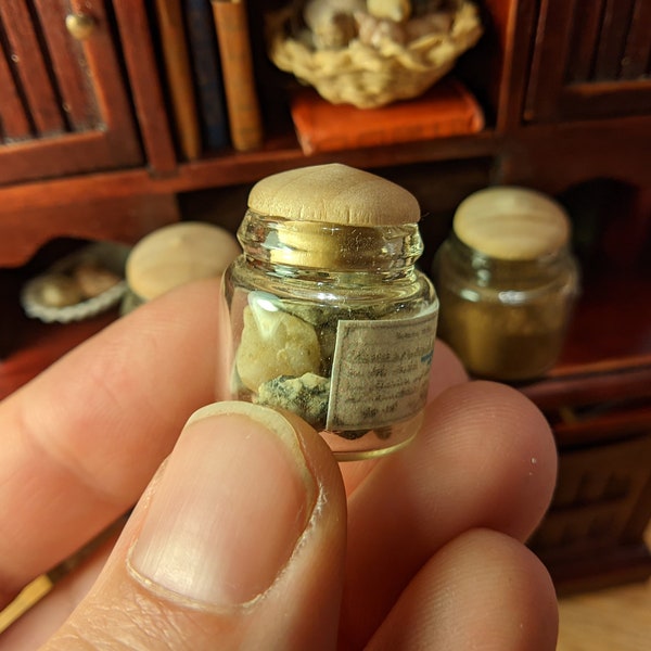 Miniature natural history specimen jars with labels and real animal/plant/mineral specimens, dollhouse scientist, cabinet of curiosities