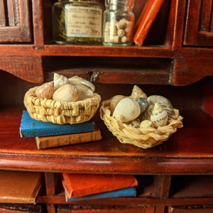 Miniature basket of shells, 1:12 scale, all natural, handmade, 2 options woven basket or coiled basket, dollhouses, fairy gardens, curiosity