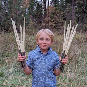 May include: A young person holding two bundles of sticks in a woodland setting. The sticks are light brown with a light green hue. The person is wearing a blue shirt with a white pattern and dark blue trousers.
