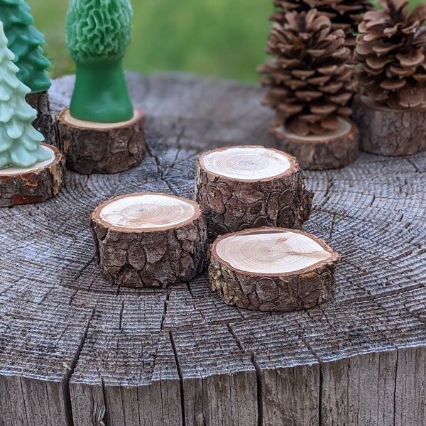 Présentoir rustique, lot de 3, contremarches en bûches naturelles faites à la main, 1/2 pouce à 1 3/4 pouce de haut, tranches de bois de sapin de Douglas de la Sierra Nevada avec écorce