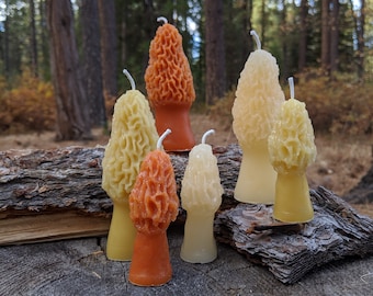 Morel mushroom candle, recycled forest candle, eco-friendly and sustainable, hand poured from recycled wax, 4 1/2 or 3 in tall