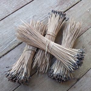 Ponderosa pine needles for basket making, 8-11.5 inches long, 4 ounces, all natural, eco-friendly and sustainable, Sierra Nevada