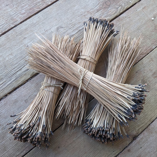 Ponderosa pine needles for basket making, 8-11.5 inches long, 4 ounces, all natural, eco-friendly and sustainable, Sierra Nevada