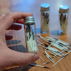 Jar of porcupine quills, clean natural quills from North American porcupine for crafting, curiosity cabinet, natural history studies