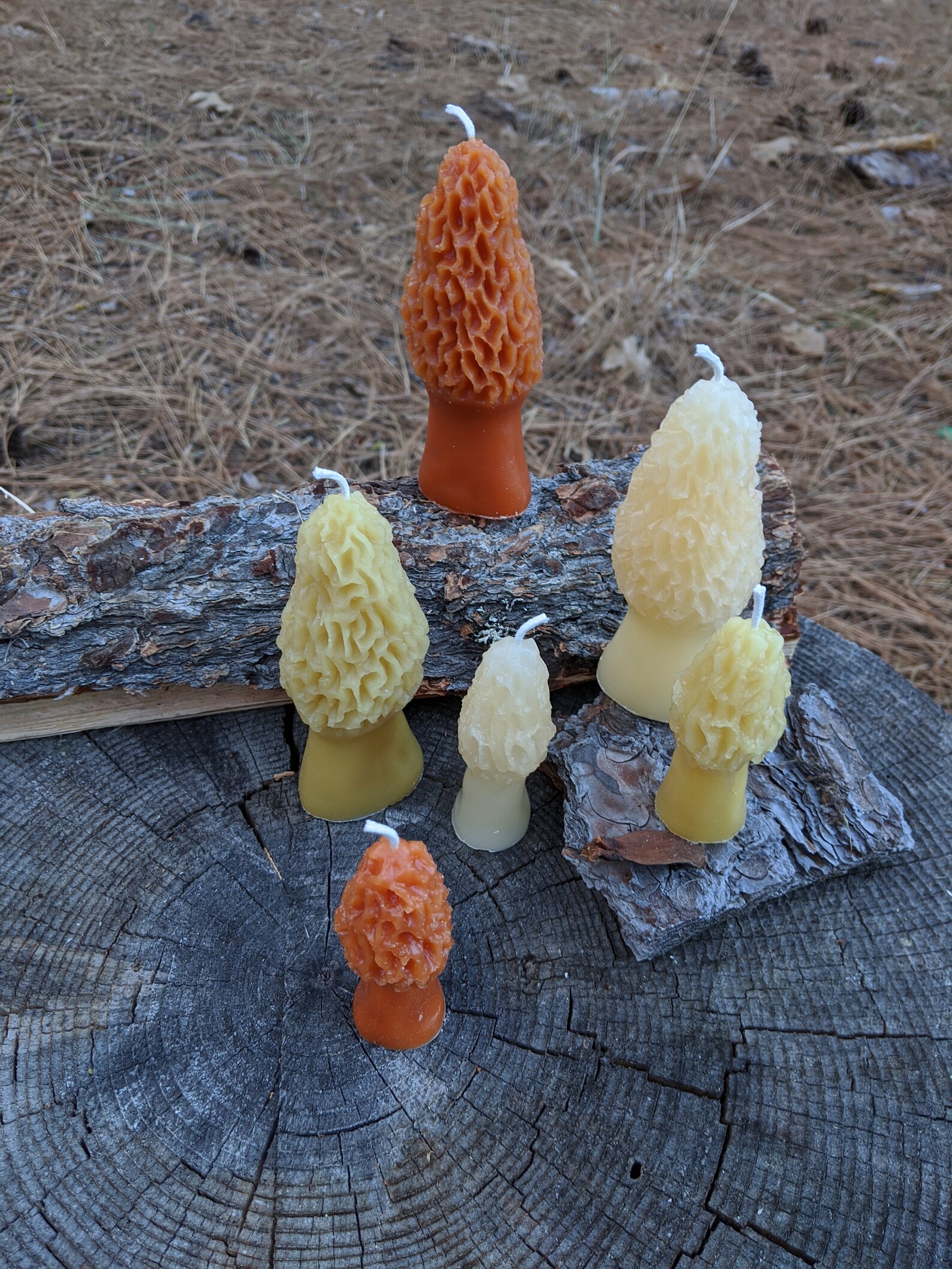Morel Mushroom Candle Recycled Forest Candle Ecofriendly Etsy