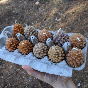 May include: A cardboard egg carton filled with small pine cone shaped candles in shades of brown, beige, and tan.