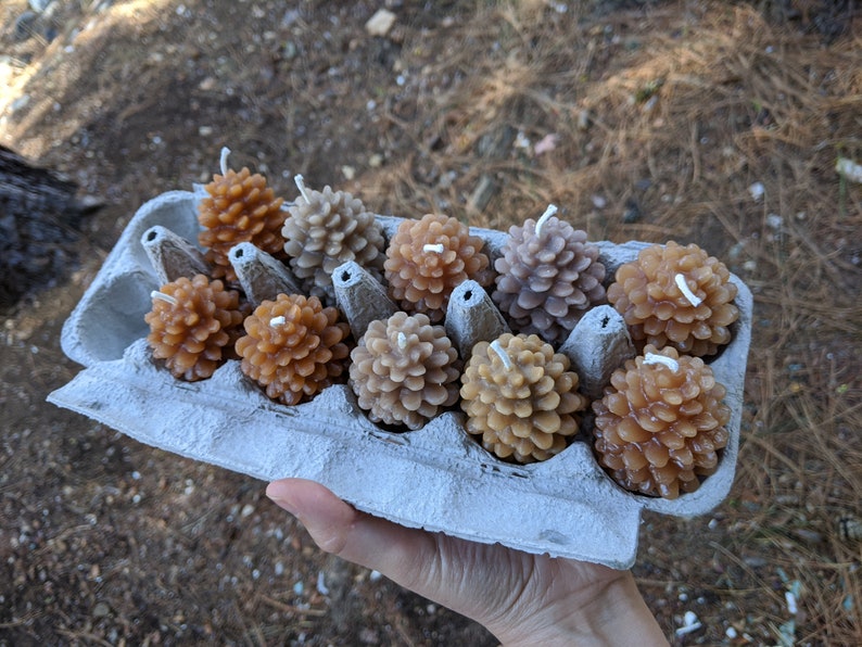 May include: A cardboard egg carton filled with small pine cone shaped candles in shades of brown, beige, and tan.