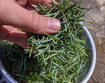 May include: A close-up of a metal bowl filled with fresh green pine needles being weighed on a digital scale. The scale reads "0.40".