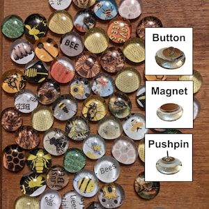 Puede incluir: Una colección de cabujones redondos de vidrio con varios diseños de temática de abejas, incluyendo abejas, panales y la palabra "abeja". Los cabujones están dispuestos sobre una superficie de madera y están disponibles en tres estilos diferentes: botón, imán y chincheta.