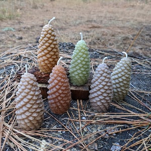 Recycled pinecone candle, eco-friendly closed pine cone candle, hand poured in the Sierra Nevada from recycled wax, 3 3/4 inches tall
