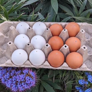 Empty eggshells, hand-pierced hollow eggs for crafts or decorating, choose white or brown, single hole in top or bottom, real 100% natural