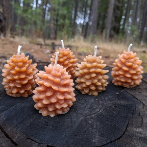 May include: Five small, brown pine cone shaped candles on a tree stump. The candles are made of wax and have a white wick.
