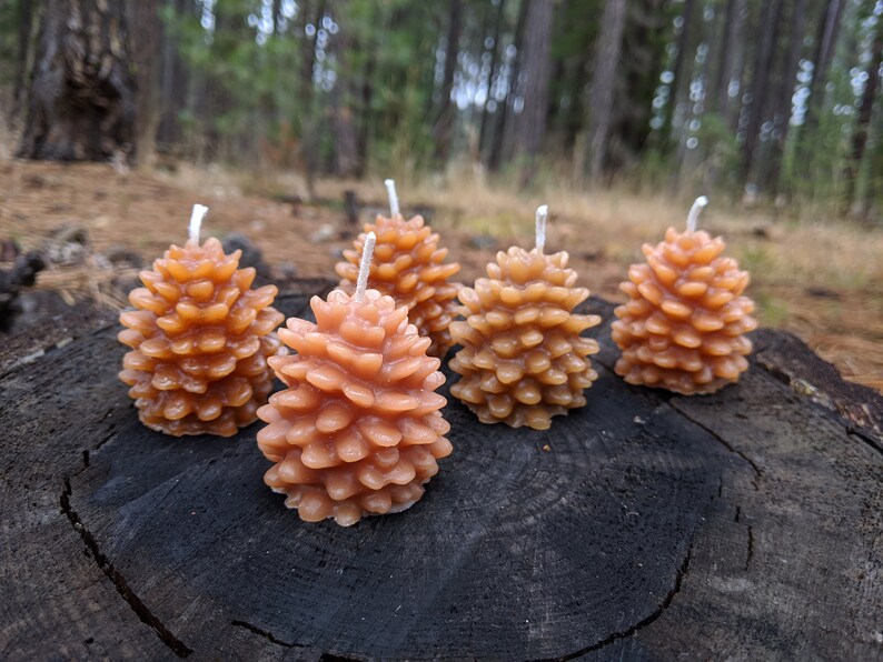 May include: Five small, brown pine cone shaped candles on a tree stump. The candles are made of wax and have a white wick.
