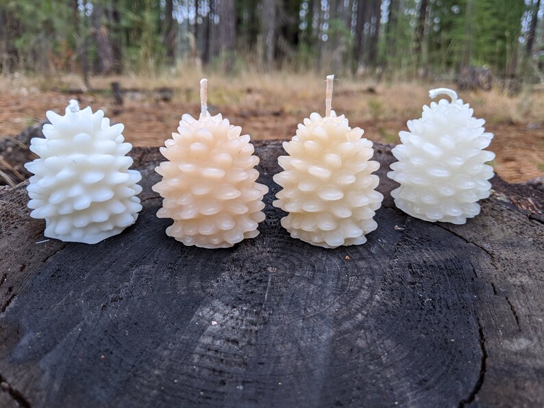 May include: Four pine cone shaped candles in white, cream, and light brown. The candles are arranged in a row on a dark brown wooden surface.