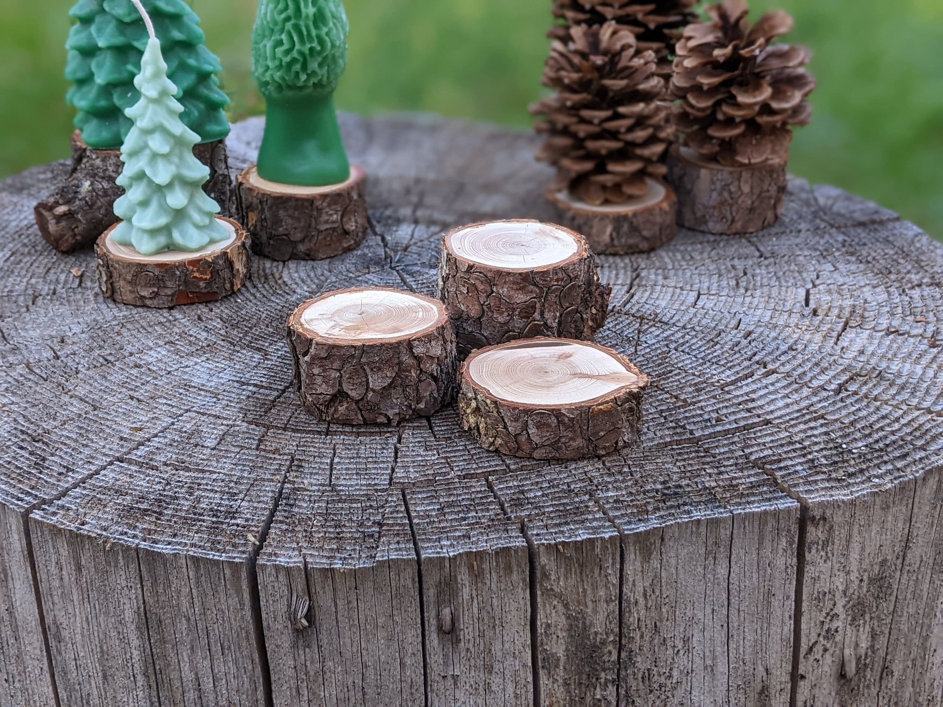 Wooden Riser- Miniature Plant Stand- Photo Display- Decor Riser- Vase -  Kentucky LiveEdge