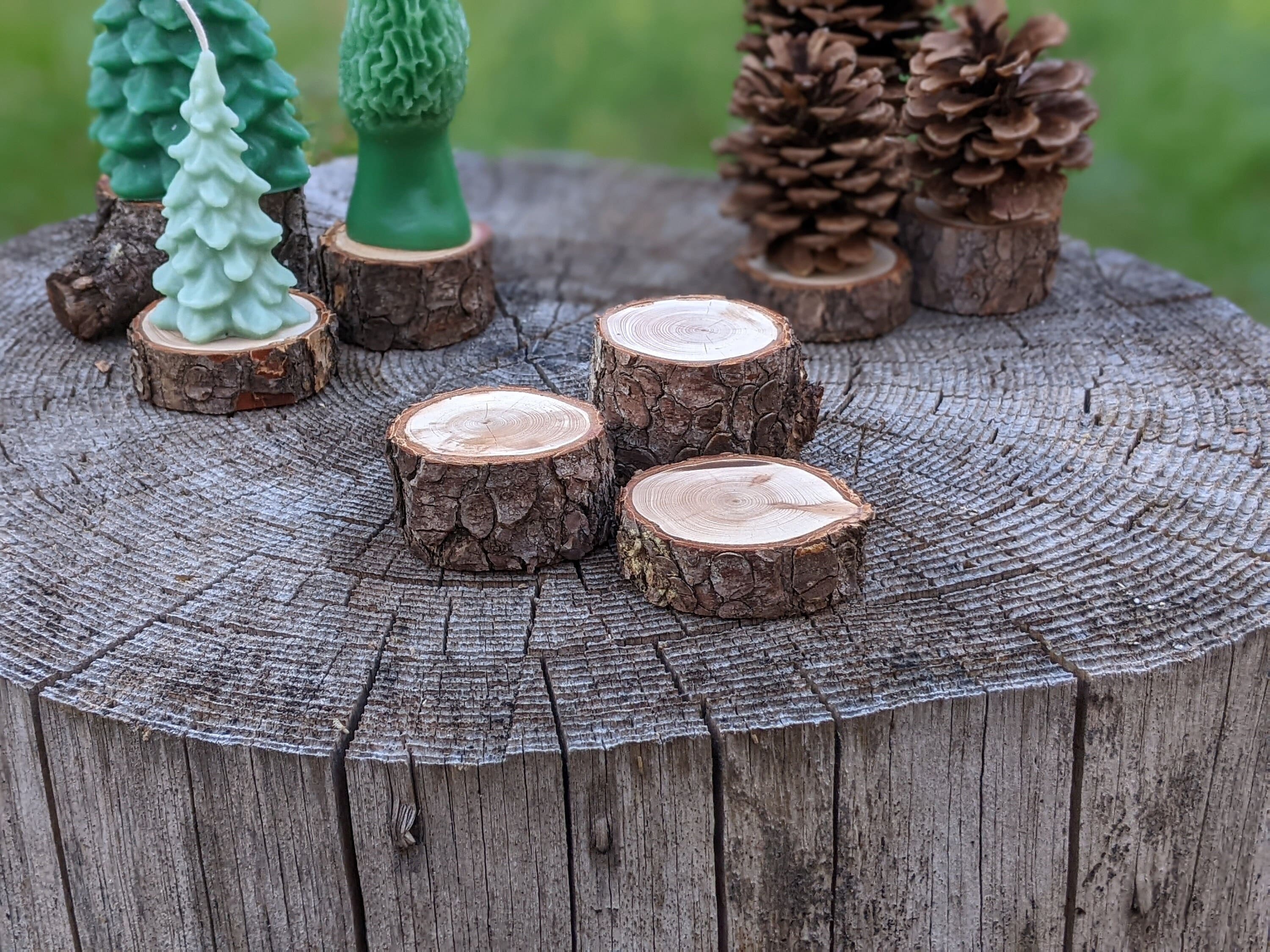 Rustic Wood Log Stumps Set of 3 Large Rustic Wood Decorations Rustic  Wedding, Rustic Table Centerpiece, Fairy Garden Decor 